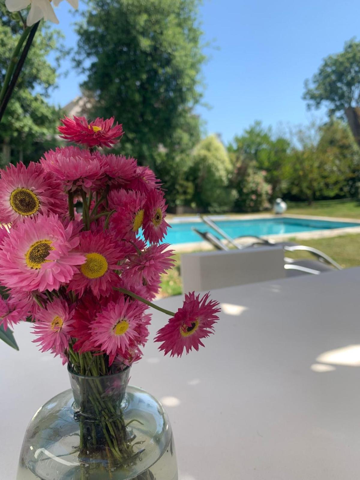 Un Petit Paradis Insoupsonne Hébergement de vacances Vannes