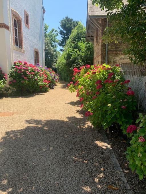 Un Petit Paradis Insoupsonne Hébergement de vacances